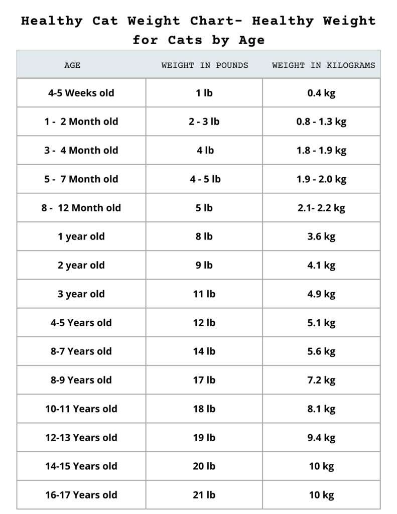 Healthy Cat Weight Chart by Age Table 