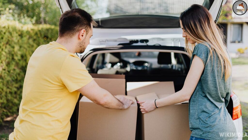 men and women store box in car