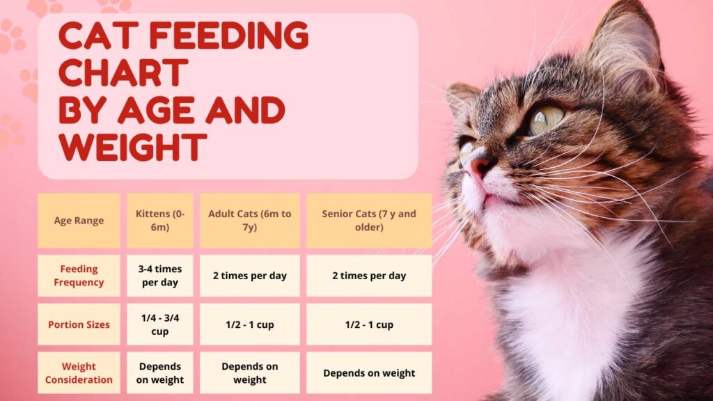 A visual representation of the "Cat Feeding Chart by Age and Weight" showcasing feeding guidelines for cats of different ages and weights.