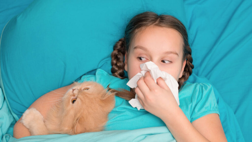 A person experiencing cat allergy symptoms, including sneezing and watery eyes, stands next to a cat. The image conveys the message of cat allergy symptoms discussed in the article "Cat Allergy Symptoms Exposed: Is Your Health at Risk?"